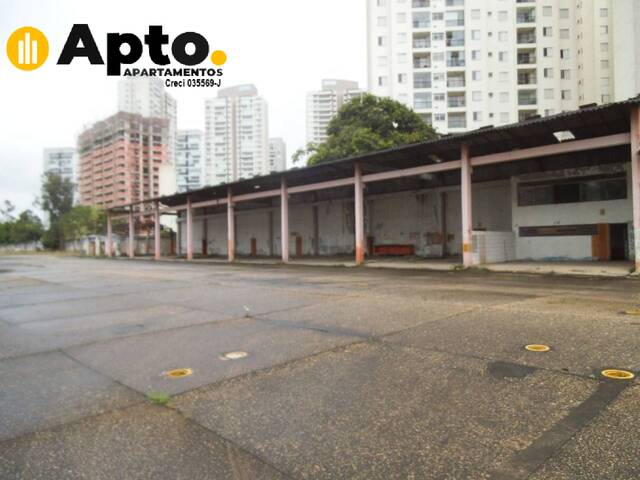 #2754 - Terreno para Locação em São Paulo - SP - 3